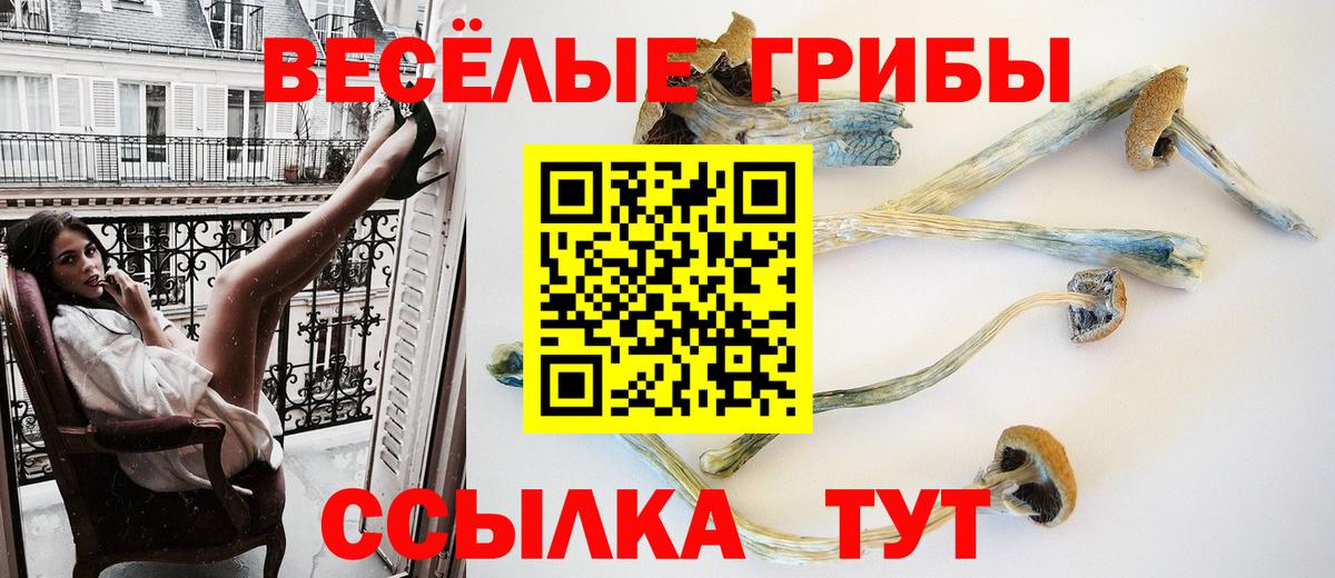 Моздок  Псилоцибиновые грибы Magic Shrooms  Вход с VPN 