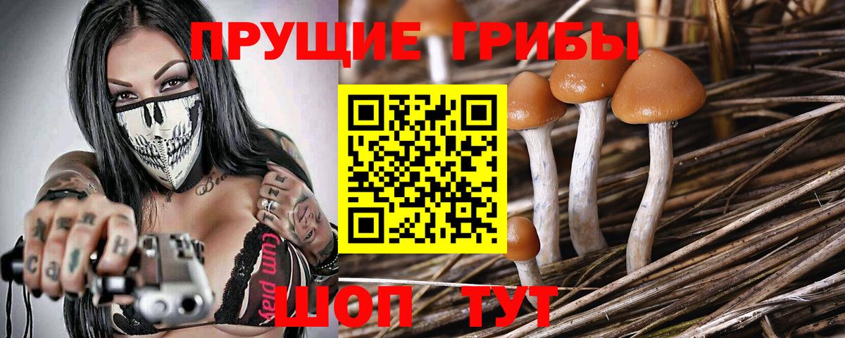 Галлюциногенные грибы мицелий Моздок